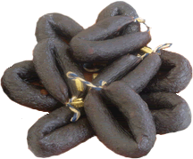 Charcutaria beira baixa